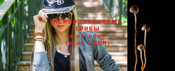 амф Переславль-Залесский