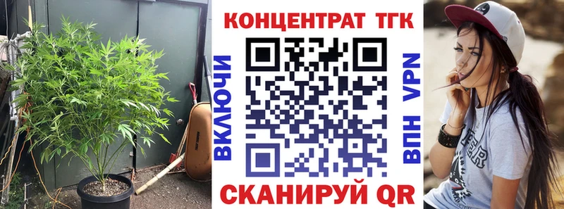 кракен ТОР  Каргат  ТГК THC oil 